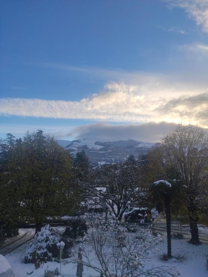 T2 avec loggia vue parc et montagne dans villa historique Victoria Argelès-Gazost Extérieur photo